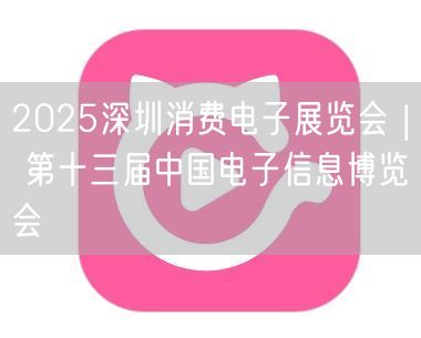 2025深圳消费电子展览会 | 第十三届